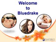 Welcome  to  Bluedrake