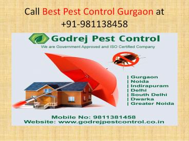 Call Best Pest Control in Gurgaon at +91-9811381458