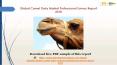 Camel Dairy Market Professional Survey Report 2018 PowerPoint PPT Presentation