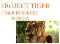 PPT on Project tiger PowerPoint PPT Presentation