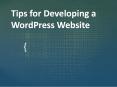 Tips for developing a WordPress Website PowerPoint PPT Presentation