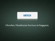 Glovebox Disinfection Services
