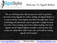 Accurate Forex Signals