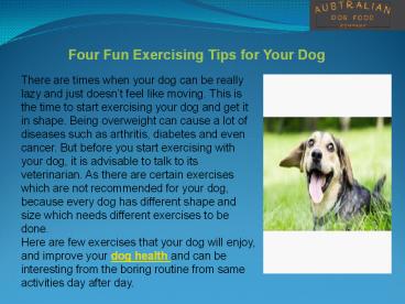 Four Fun Exercising Tips for Your Dog