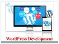 Wordpress Development PowerPoint PPT Presentation