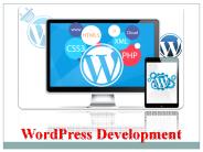 Wordpress Development