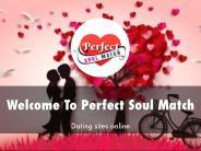 Detail Presentation About Perfect Soul Match