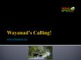Wayanad’s Calling! PowerPoint PPT Presentation