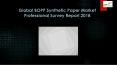 Global BOPP Synthetic Paper Market Professional Survey Report 2018 PowerPoint PPT Presentation