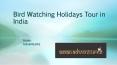 Bird Watching Holidays Tour in India