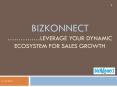 BizKonnect - Actionable Sales Intelligence Solution - Delivery Model PowerPoint PPT Presentation