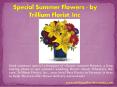 Special Summer Flowers - by Trillium Florist, Inc PowerPoint PPT Presentation