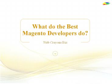 What do the Best Magento Developers do?