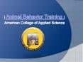 Animal Behavior Training | AmCollege PowerPoint PPT Presentation