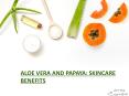 ALOE VERA AND PAPAYA: SKINCARE BENEFITS PowerPoint PPT Presentation