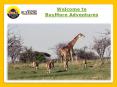 Tanzania wildlife Safaris PowerPoint PPT Presentation