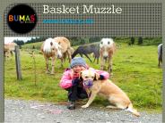 Best Dog Muzzle (1)