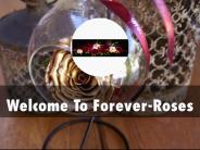 Forever-Roses Presentation