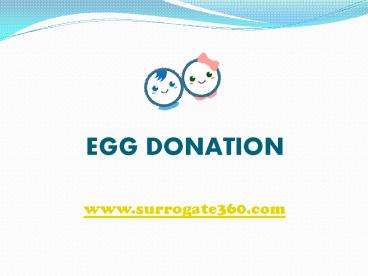 Egg Donor and Surrogates at Surrogate360