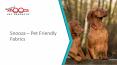 Snooza – Pet Friendly Fabrics PowerPoint PPT Presentation