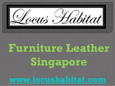 Furniture Leather Singapore   -  www.locushabitat.com