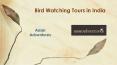 Bird Watching Tours in India