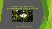 Why Landscaping Companies Recommend Plants Native To Your Area