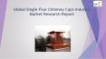 Global Single Flue Chimney Caps Industry Market Research Report PowerPoint PPT Presentation
