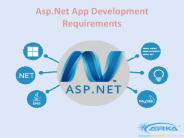 Asp.Net App Development Requirements