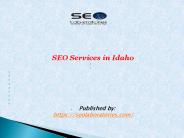 SEO Services in Idaho (1)