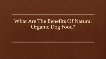What are the benefits of Natural Organic Dog Food?