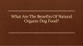 What are the benefits of Natural Organic Dog Food? PowerPoint PPT Presentation