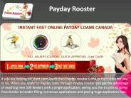 Installment loan Canada - Payday Rooster
