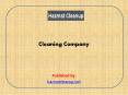 Cleaning Company PowerPoint PPT Presentation