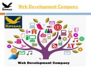 Web Development Company (11)