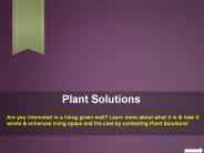 Green Wall System