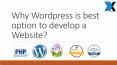 Why Wordpress development services is best for website creation PowerPoint PPT Presentation