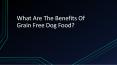 What are the benefits of grain free dog food? PowerPoint PPT Presentation
