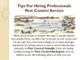 Tips For Hiring Professionals Pest Control Service PowerPoint PPT Presentation
