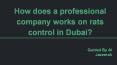 Rats control company in Dubai | Al Jazeerah PowerPoint PPT Presentation