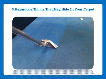 5 Hazardous Things That May Hide In Your Carpet