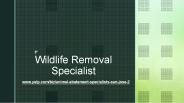 Dead Animal Removal San Jose (1)