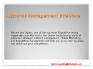 Adwords management Brisbane