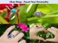 Silver Rings - Flaunt Your Personality PowerPoint PPT Presentation