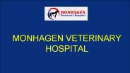 Monhagen Veterinary Hospital | Middletown Vet
