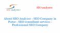 About SEO Analyzer - SEO Company in Porur - SEO consultant services - Professional SEO Company PowerPoint PPT Presentation