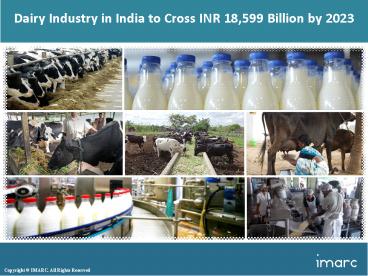 Dairy Industry in India Share, Size, Price Trends And Forecast (2018-2023)