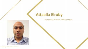 Attaalla Elroby - Engineering Manager From Massachusetts