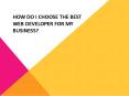 How Do I Choose the Best Web Developer PowerPoint PPT Presentation