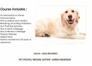 Animal Communicator & Medium, Karen Anderson